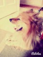 /album/fenykepgaleria/a1399292709418-jpg/